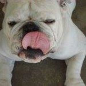 Meet your Posher, Jeanie